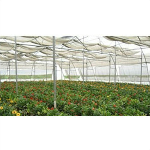 Agriculture Greenhouse Structure