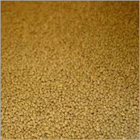 Fish Feed