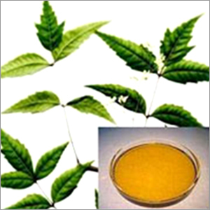 Neem Oil