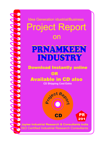 Namkeen Industry Project Reports
