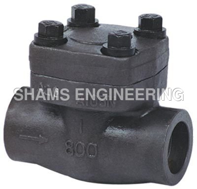 Forged Steel Lift Check Valve Application: Water