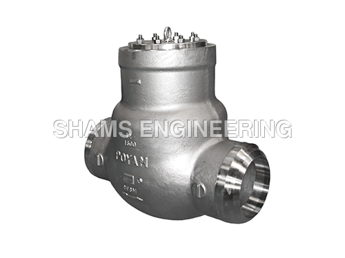 Pressure Sea Swing Check Valve Application: Water