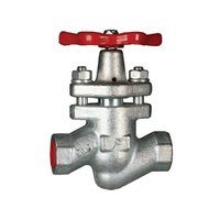 Screwed End Piston Check Valve Application: Water