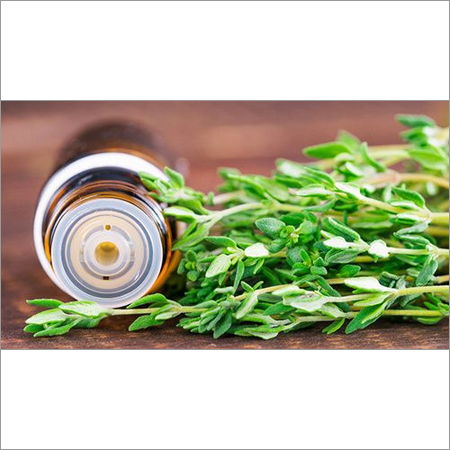 Thyme Essential Oil Purity: 100 %