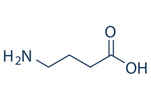 4-AMINO BUTYRIC ACID