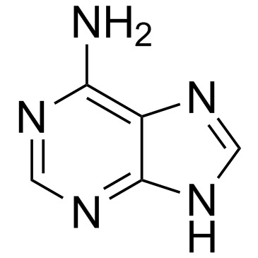6,AMINO PURINE (ADENINE)