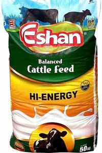 High Energy Cattle Feed Application: Water