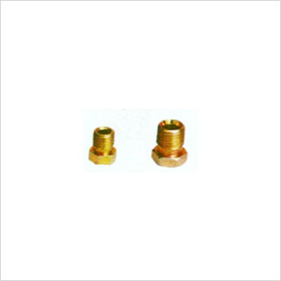 Locking Screw