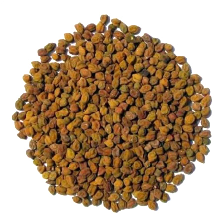 Channa
