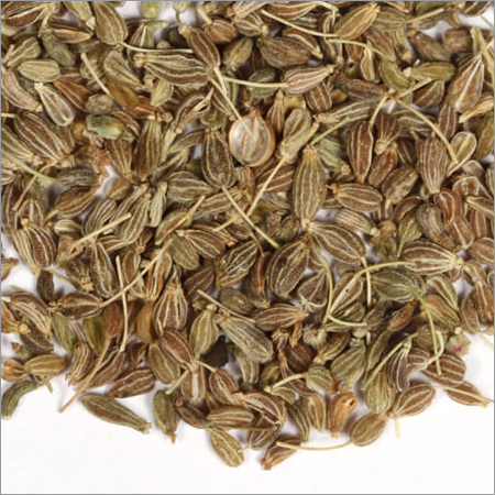 Aniseed