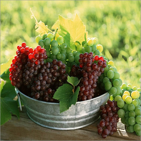 Fresh Grapes
