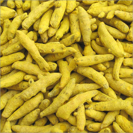 Turmeric Finger