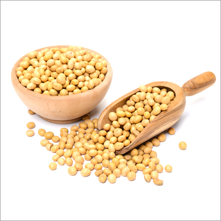 Soybean Seeds