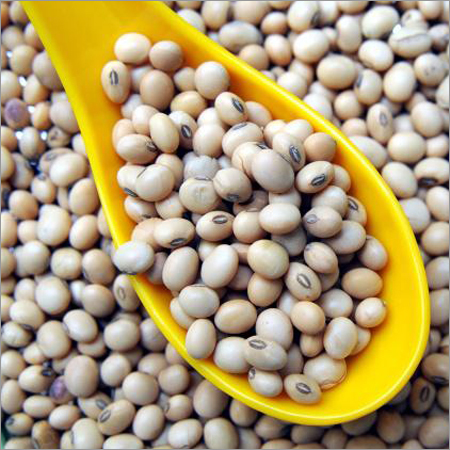 Soyabean