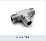 Male Tee