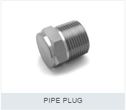 Pipe Plug