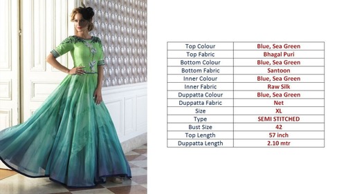 Fancy Ladies Gown