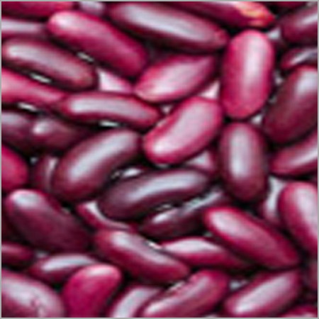 Fresh Red Kidney Beans