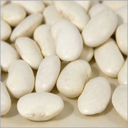 Fresh Butter Beans