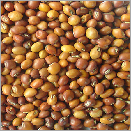 Toor Daal Moisture (%): 14