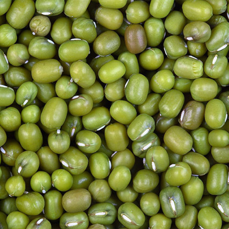 Fresh Green Mung Beans