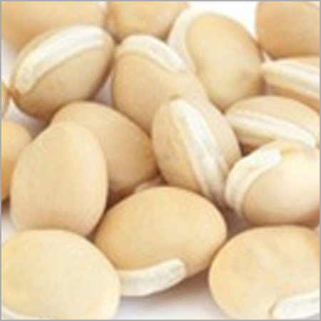 Lab Beans Purity: 99%