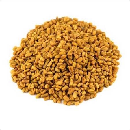 Fenugreek Seed