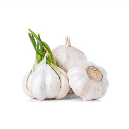 Fresh Garlic - Organic Whole White Garlic | Antibacterial and Antifungal Properties, Rich in Manganese, Vitamin B6 and C, Effective for Blood Pressure Control and Hyperthyroid Treatment