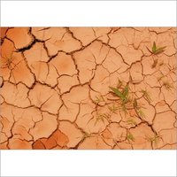 Earth Soil Attar (Mitti Attar)