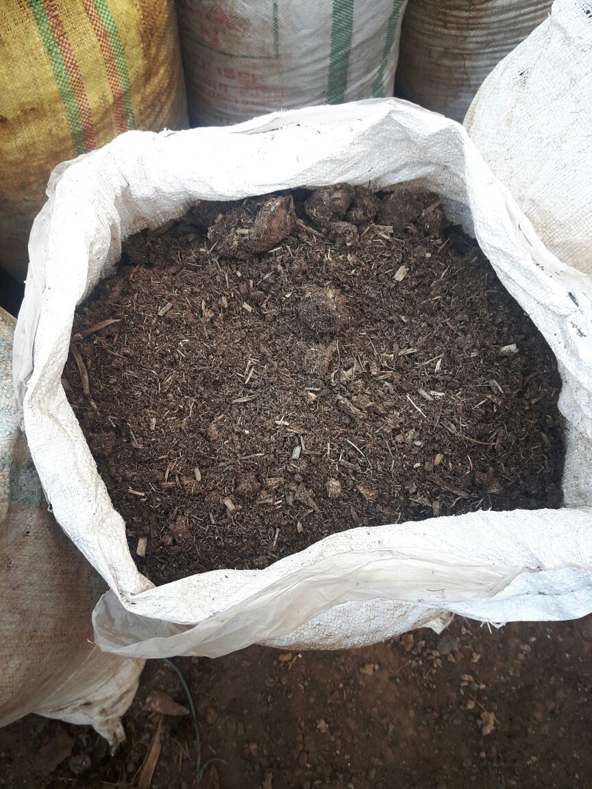 Vermi Compost Fertilizer