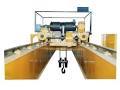 Double Girder EOT Crane