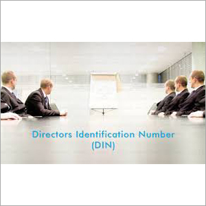 Director Identity Number Consultant