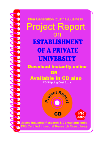 Infrastructure Industry Project Reports