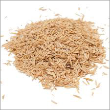 Organic Pusa Paddy Rice