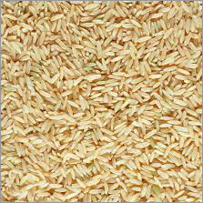 Organic Sona Masoori White Raw Rice