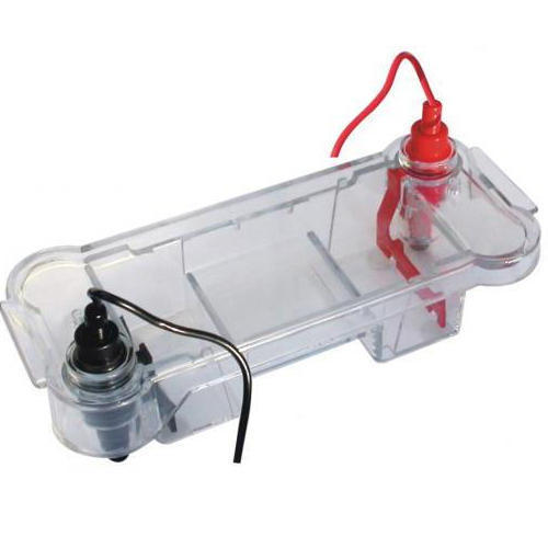 Mini Horizontal Electrophoresis