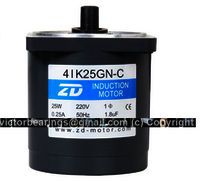 zd motor 4IK25GN C