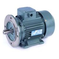Foot Cum Flange Motor