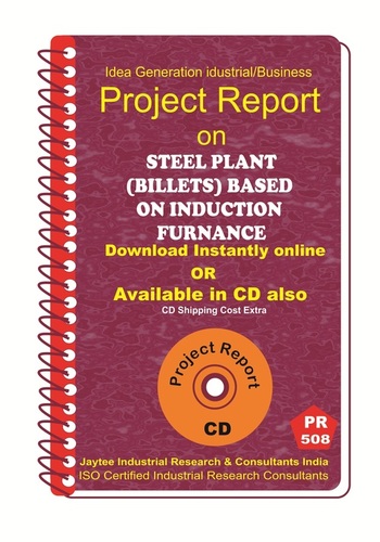 Steel Plant (Billets) Based of Induction Furnance Establishment eBook