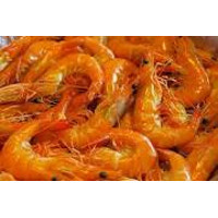 Frozen Prawns