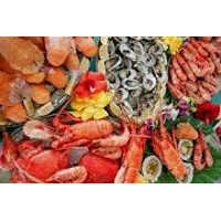 Fresh Frozen Seafood