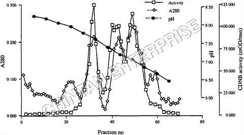 Chromatofocusing Reagents