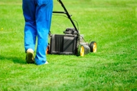 Horticulture Services