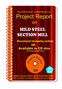 Mild Steel Section Mill Manufacturing Project Report Ebook