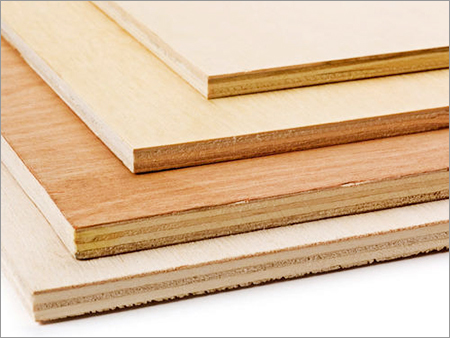Century Plywood Board