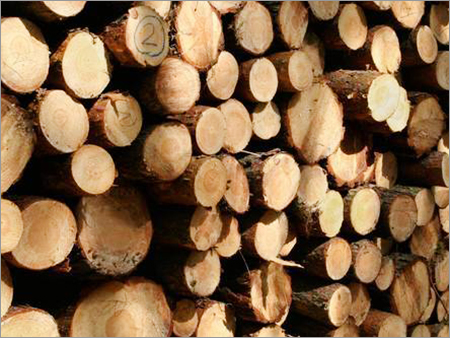 Timber Wood