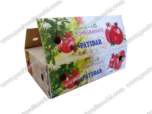 Best Quality Fruit Packaging Box Anar