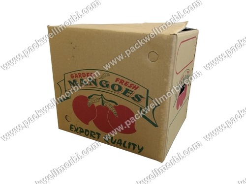 Premium Export Quality Corrugated Box for Mango