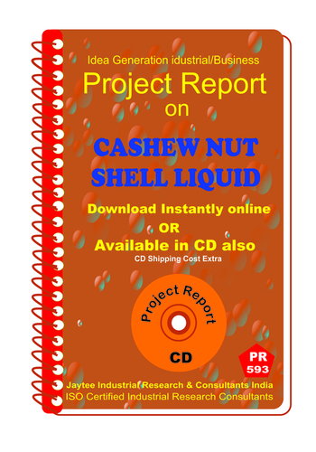Profitable Project Reports