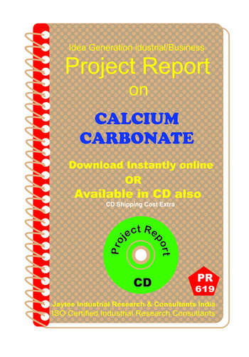 Chemical Mechnical Project Reports